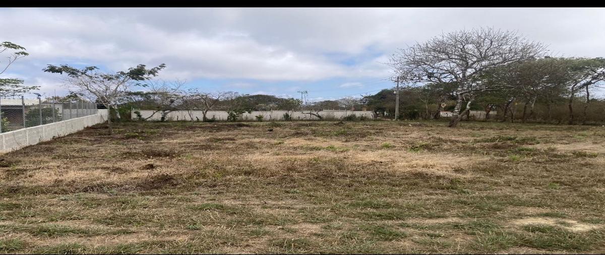 Foto de terreno habitacional en venta en  , berriozabal centro, berriozábal, chiapas, 26569169 No. 03