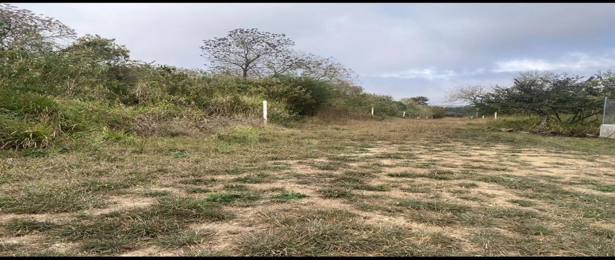 Foto de terreno habitacional en venta en  , berriozabal centro, berriozábal, chiapas, 26569169 No. 04