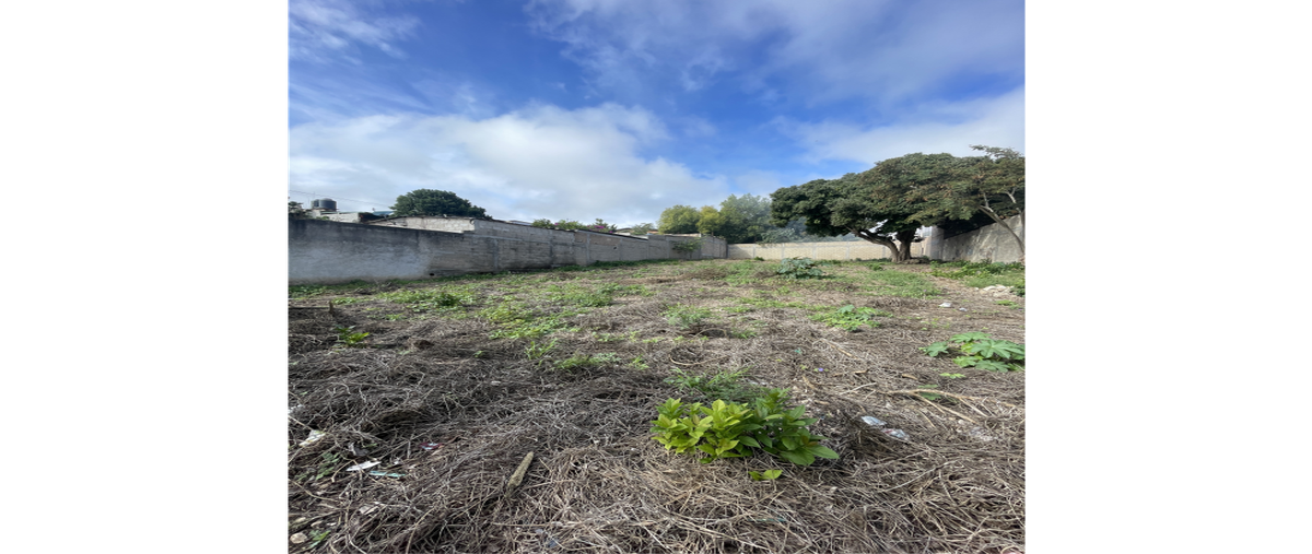 Foto de terreno habitacional en renta en  , berriozabal centro, berriozábal, chiapas, 0 No. 04