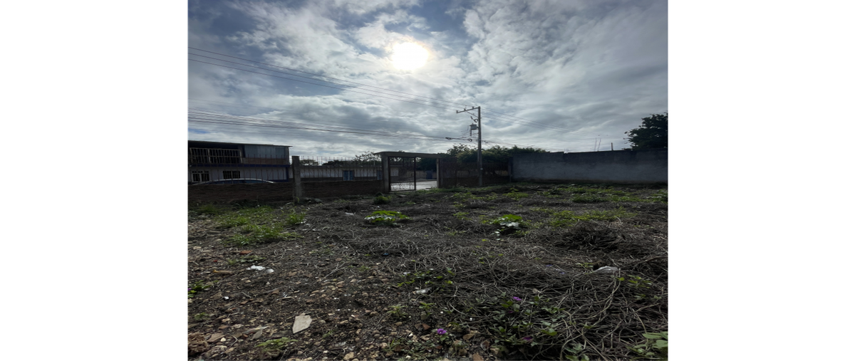 Foto de terreno habitacional en renta en  , berriozabal centro, berriozábal, chiapas, 0 No. 05