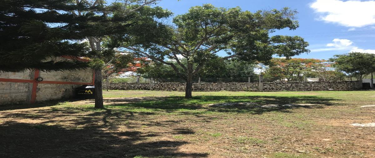 Foto de rancho en venta en  , berriozabal centro, berriozábal, chiapas, 27407673 No. 03