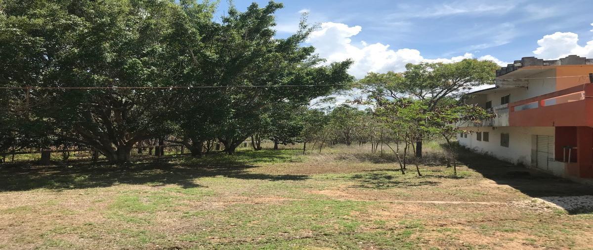 Foto de rancho en venta en  , berriozabal centro, berriozábal, chiapas, 27407673 No. 05