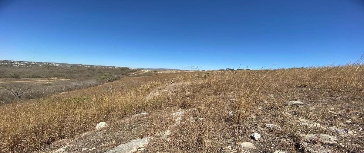 Foto de terreno habitacional en venta en  , berriozabal centro, berriozábal, chiapas, 28406653 No. 05