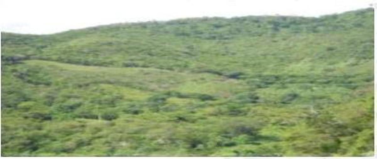 Foto de terreno habitacional en venta en  , berriozabal centro, berriozábal, chiapas, 0 No. 03