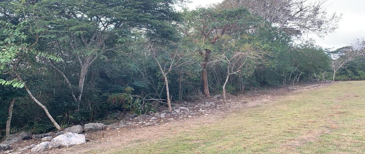 Foto de terreno habitacional en venta en  , berriozabal centro, berriozábal, chiapas, 29631788 No. 03