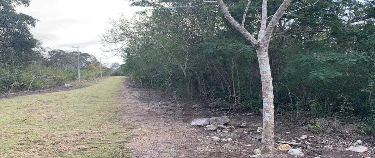 Foto de terreno habitacional en venta en  , berriozabal centro, berriozábal, chiapas, 29631788 No. 04