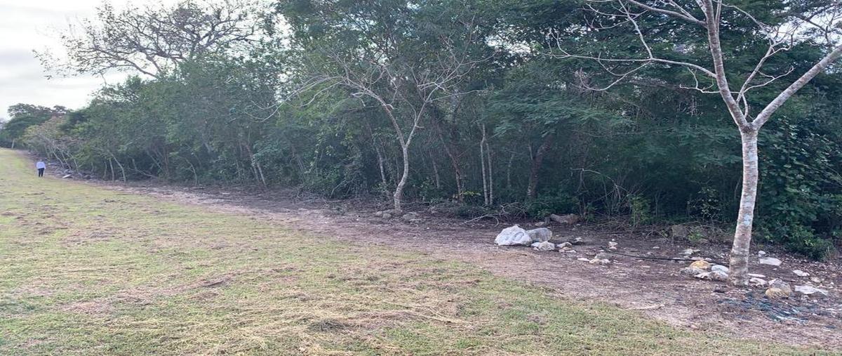 Foto de terreno habitacional en venta en  , berriozabal centro, berriozábal, chiapas, 29631788 No. 05