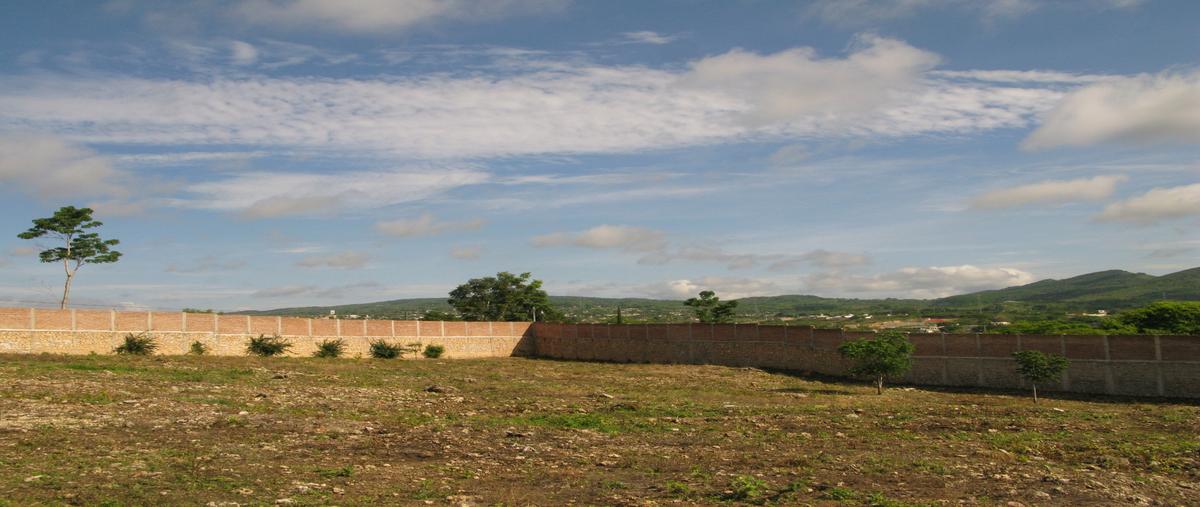 Foto de terreno habitacional en venta en  , berriozabal centro, berriozábal, chiapas, 0 No. 03