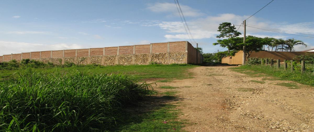 Foto de terreno habitacional en venta en  , berriozabal centro, berriozábal, chiapas, 0 No. 04