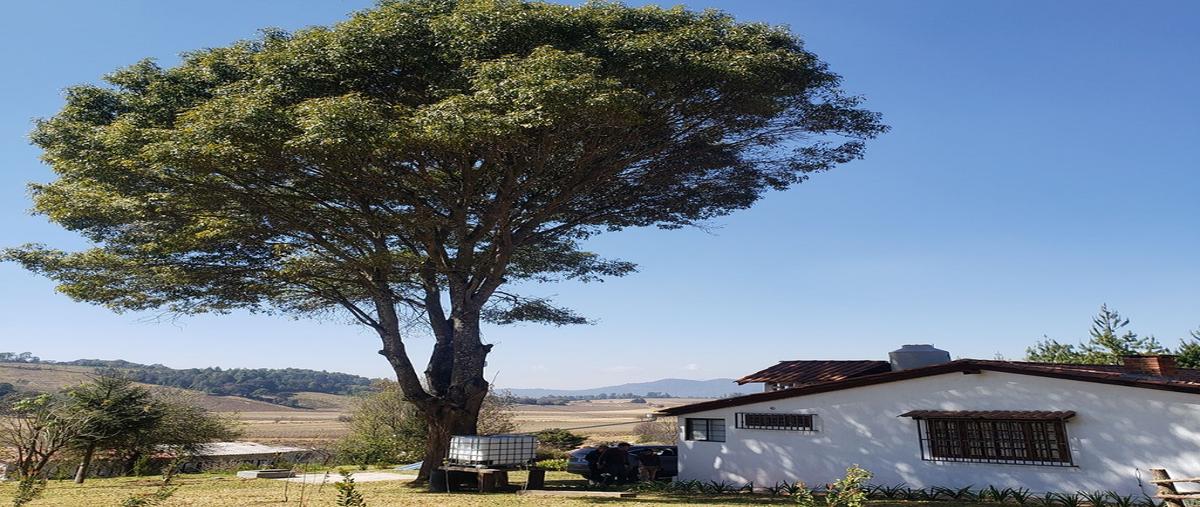 Foto de rancho en venta en  , berros, villa de allende, méxico, 29479317 No. 04