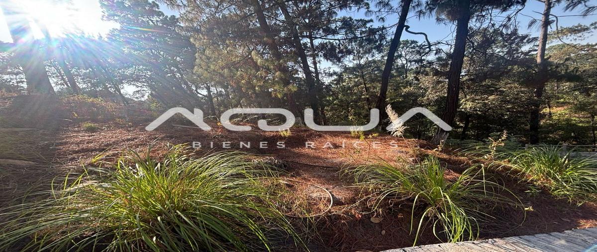Foto de terreno habitacional en venta en betel , avándaro, valle de bravo, méxico, 0 No. 03