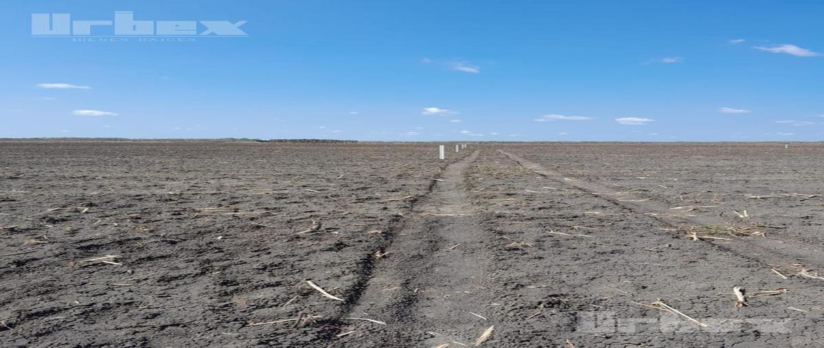 Foto de terreno habitacional en venta en  , bethania, campeche, campeche, 0 No. 04