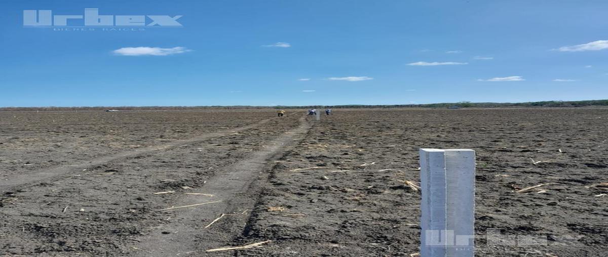 Foto de terreno habitacional en venta en  , bethania, campeche, campeche, 0 No. 05