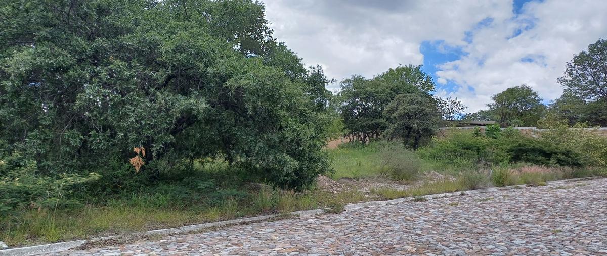 Foto de terreno habitacional en venta en beto avila , campestre haras, amozoc, puebla, 26914584 No. 05
