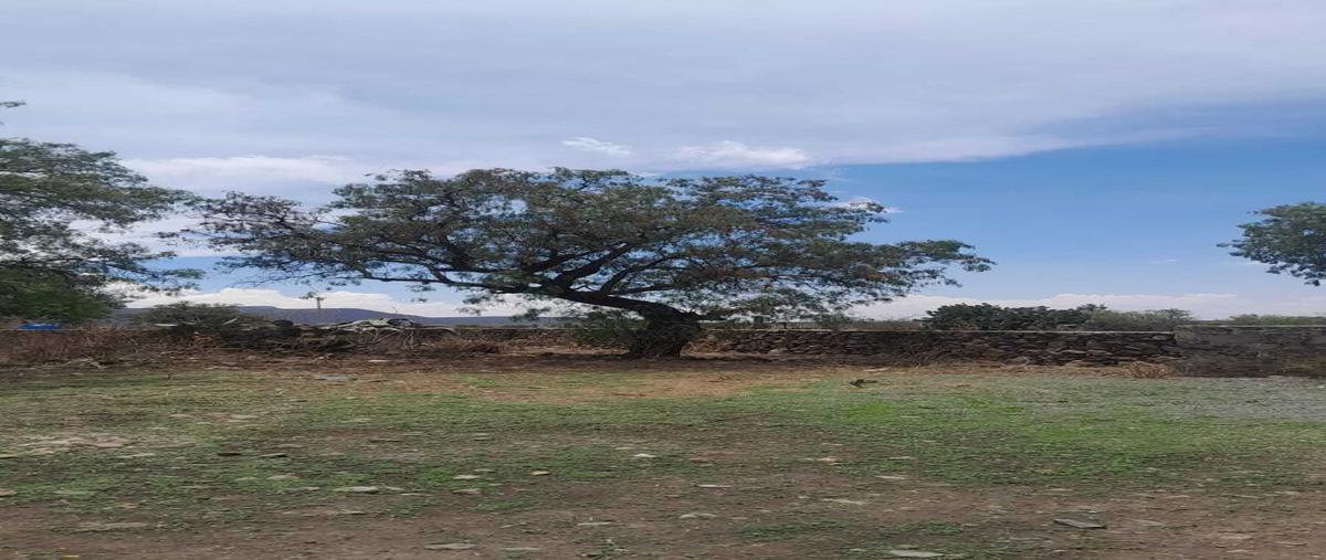 Foto de terreno habitacional en venta en  , biznaga de jaral, san miguel de allende, guanajuato, 30080556 No. 05