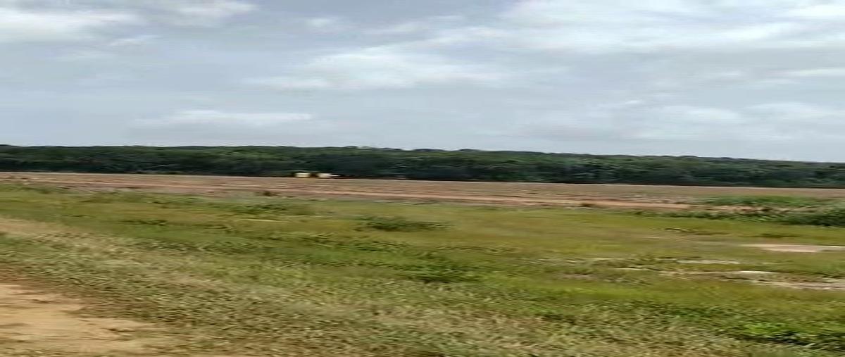 Foto de terreno habitacional en venta en  , blanca flor, tzucacab, yucatán, 0 No. 06