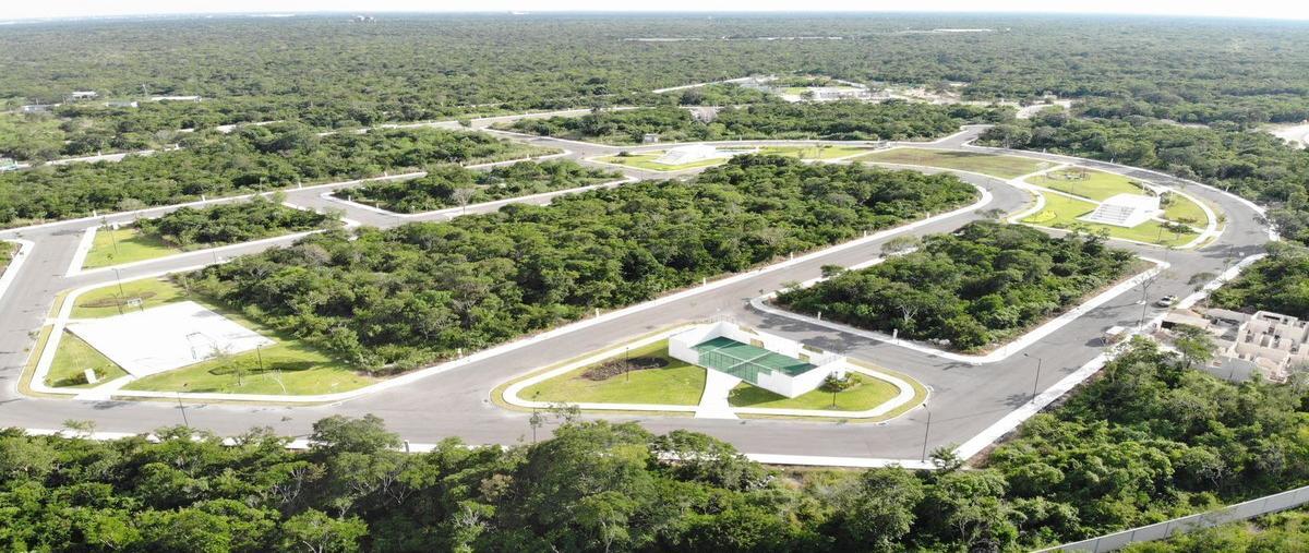 Foto de terreno habitacional en venta en blanca kikteil , komchen, mérida, yucatán, 0 No. 03