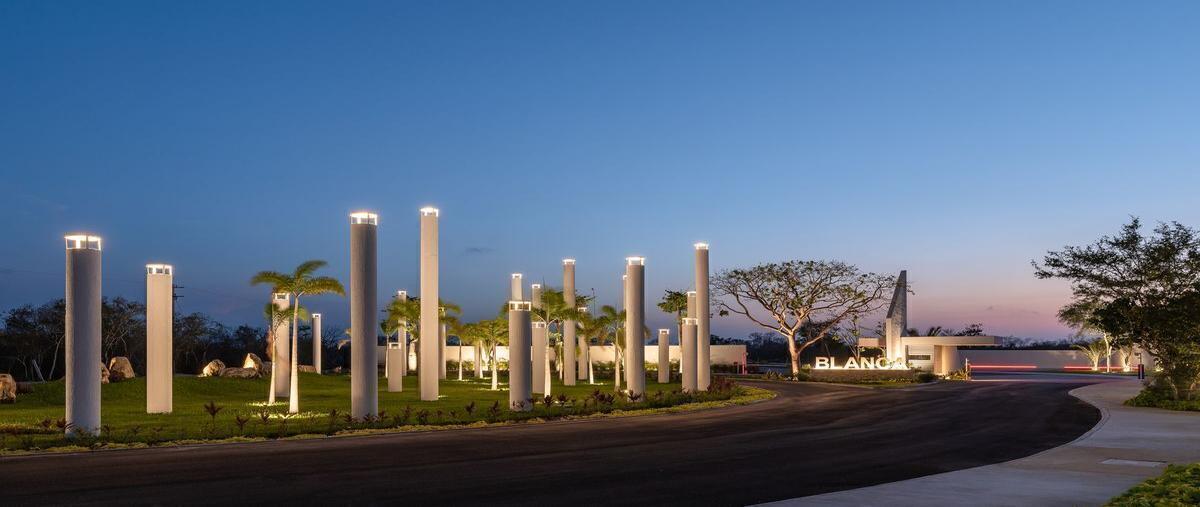 Foto de terreno habitacional en venta en blanca kikteil , komchen, mérida, yucatán, 0 No. 04