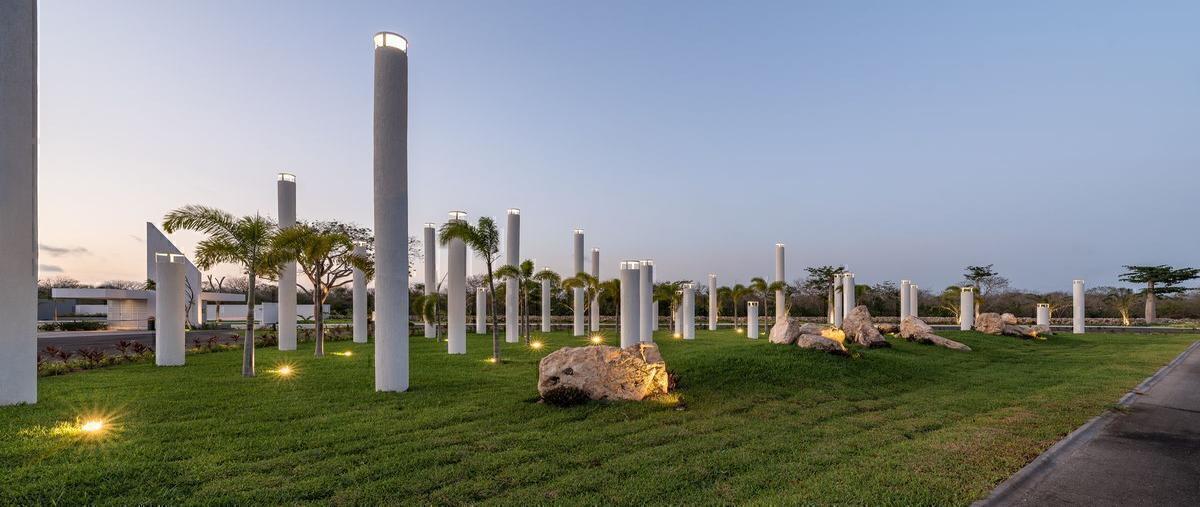 Foto de terreno habitacional en venta en blanca , kiktel, mérida, yucatán, 0 No. 03