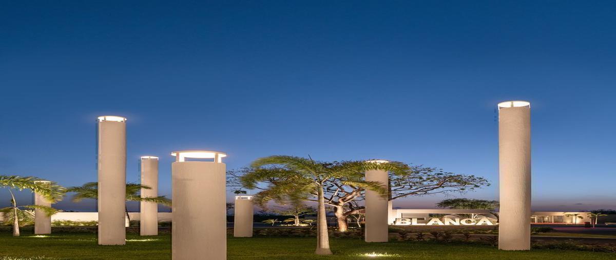 Foto de terreno habitacional en venta en blanca , kiktel, mérida, yucatán, 0 No. 05