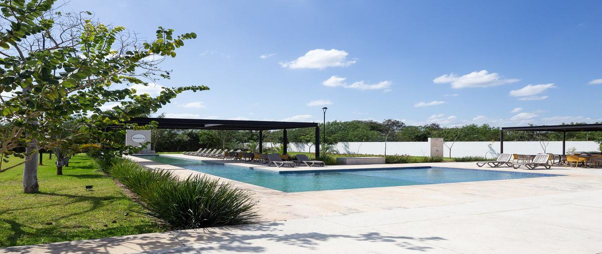 Foto de terreno habitacional en blanca residencial , kiktel, mérida, yucatán, 0 foto 05 Foto de terreno habitacional en venta en blanca residencial , kiktel, mérida, yucatán, 0 No. 05