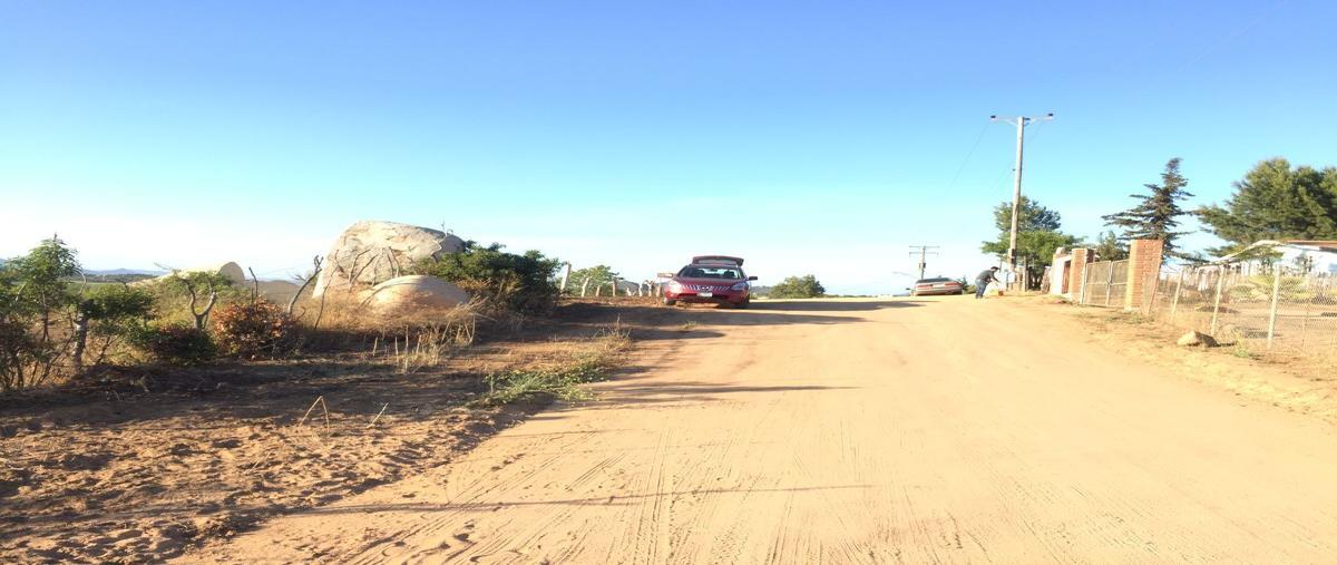 Foto de terreno habitacional en venta en blenda , san antonio de las minas, ensenada, baja california, 27451769 No. 04