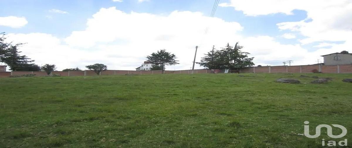 Foto de terreno habitacional en venta en bo. san pedro , colonia la navidad, almoloya de juárez, méxico, 31061422 No. 05