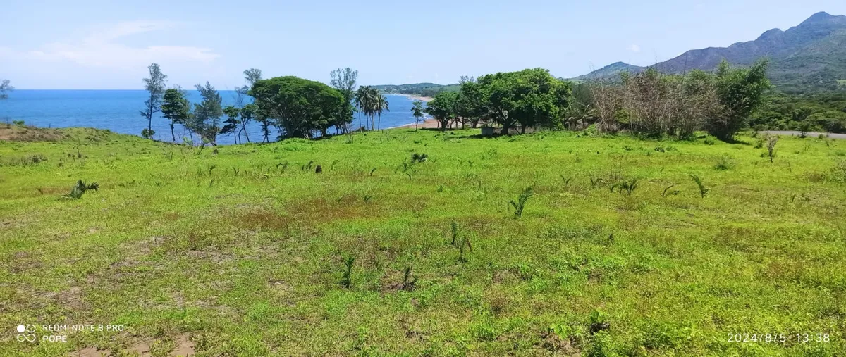 Foto de terreno comercial en boca de loma a, palma sola, alto lucero de gutiérrez barrios, veracruz de ignacio de la llave, 0 foto 05 Foto de terreno comercial en venta en boca de loma a, palma sola, alto lucero de gutiérrez barrios, veracruz de ignacio de la llave, 0 No. 05