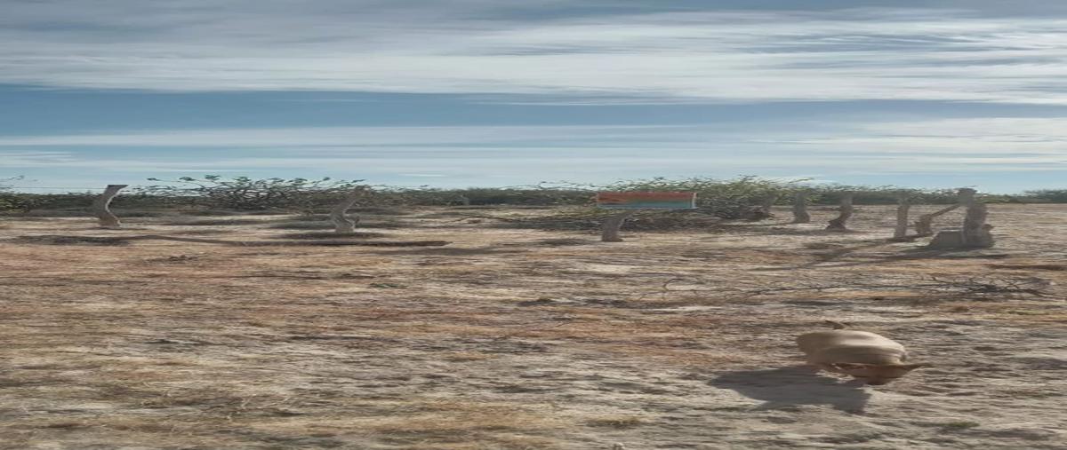 Foto de terreno habitacional en venta en  , boca del álamo, la paz, baja california sur, 0 No. 05