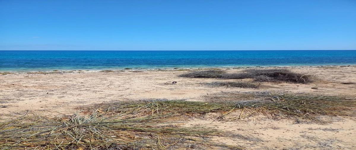Foto de terreno habitacional en venta en  , boca del álamo, la paz, baja california sur, 0 No. 07