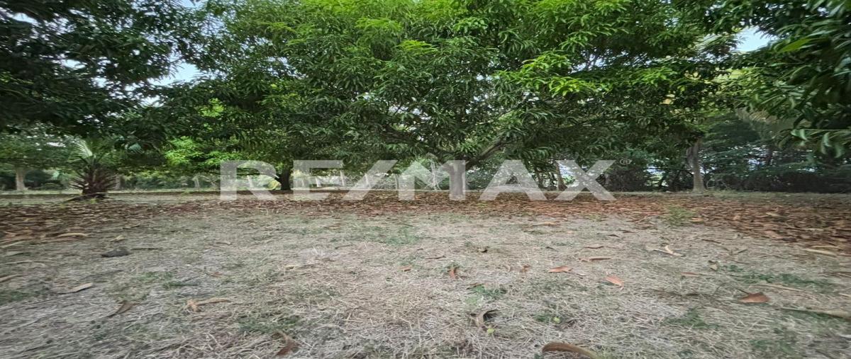 Foto de terreno comercial en boca del cielo , boca del cielo, tonalá, chiapas, 0 foto 02 Foto de terreno comercial en venta en boca del cielo , boca del cielo, tonalá, chiapas, 0 No. 02