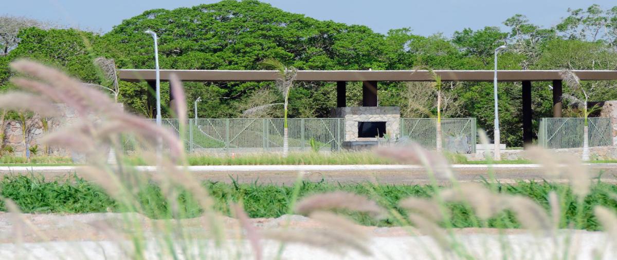 Foto de terreno habitacional en venta en  , boca del río centro, boca del río, veracruz de ignacio de la llave, 0 No. 03