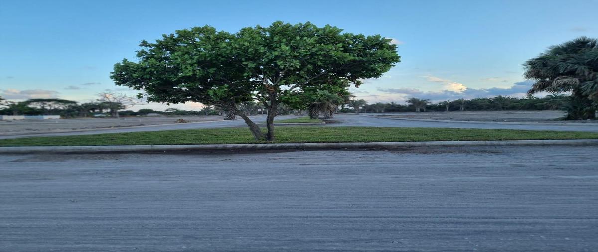 Foto de terreno habitacional en venta en  , boca del río centro, boca del río, veracruz de ignacio de la llave, 0 No. 03