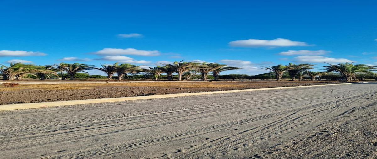 Foto de terreno habitacional en venta en  , boca del río centro, boca del río, veracruz de ignacio de la llave, 0 No. 05