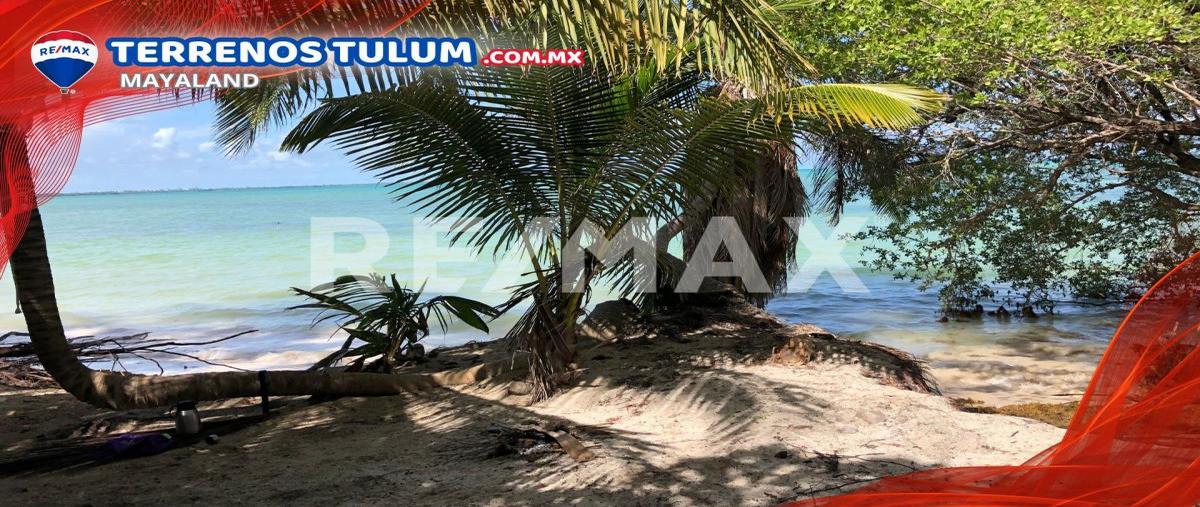 Foto de terreno comercial en venta en boca paila , javier rojo gómez (punta allen), tulum, quintana roo, 29399507 No. 04