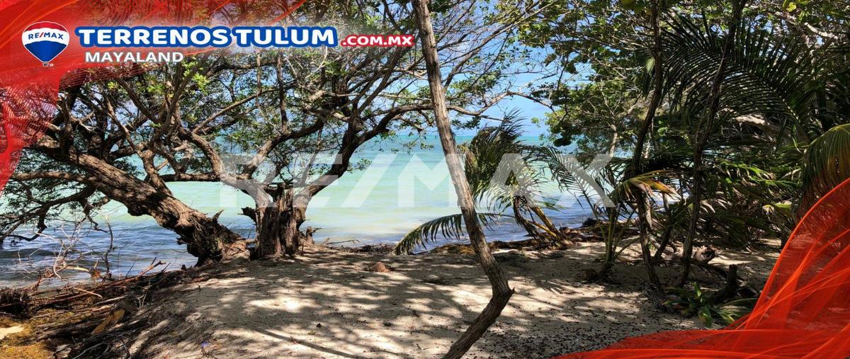 Foto de terreno comercial en venta en boca paila , javier rojo gómez (punta allen), tulum, quintana roo, 29399507 No. 05