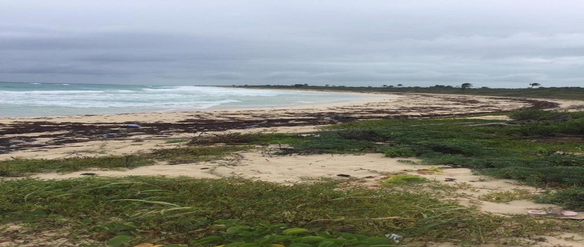 Foto de terreno habitacional en , boca paila, tulum, quintana roo, 23179709 foto 02 Foto de terreno habitacional en venta en , boca paila, tulum, quintana roo, 23179709 No. 02