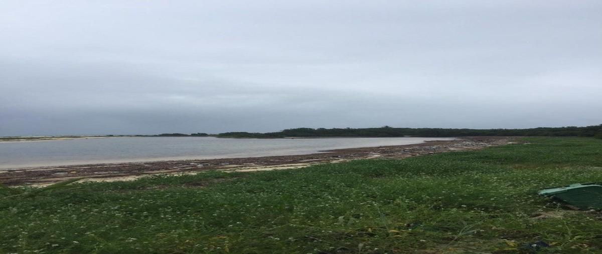 Foto de terreno habitacional en , boca paila, tulum, quintana roo, 23179709 foto 03 Foto de terreno habitacional en venta en , boca paila, tulum, quintana roo, 23179709 No. 03