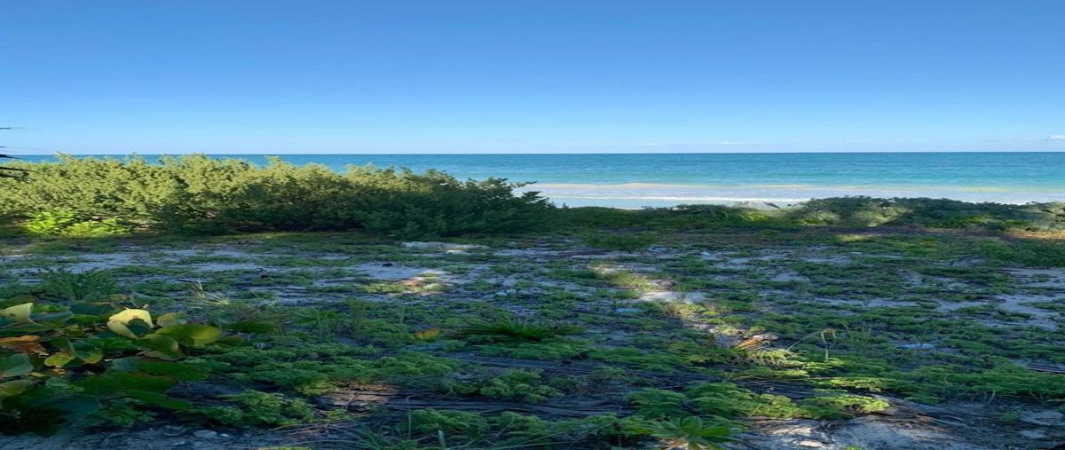 Foto de terreno habitacional en , boca paila, tulum, quintana roo, 23179709 foto 04 Foto de terreno habitacional en venta en , boca paila, tulum, quintana roo, 23179709 No. 04