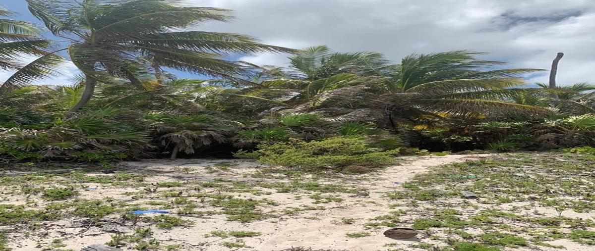 Foto de terreno habitacional en , boca paila, tulum, quintana roo, 23179709 foto 05 Foto de terreno habitacional en venta en , boca paila, tulum, quintana roo, 23179709 No. 05