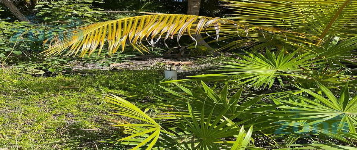 Foto de terreno habitacional en venta en  , boca paila, tulum, quintana roo, 0 No. 04