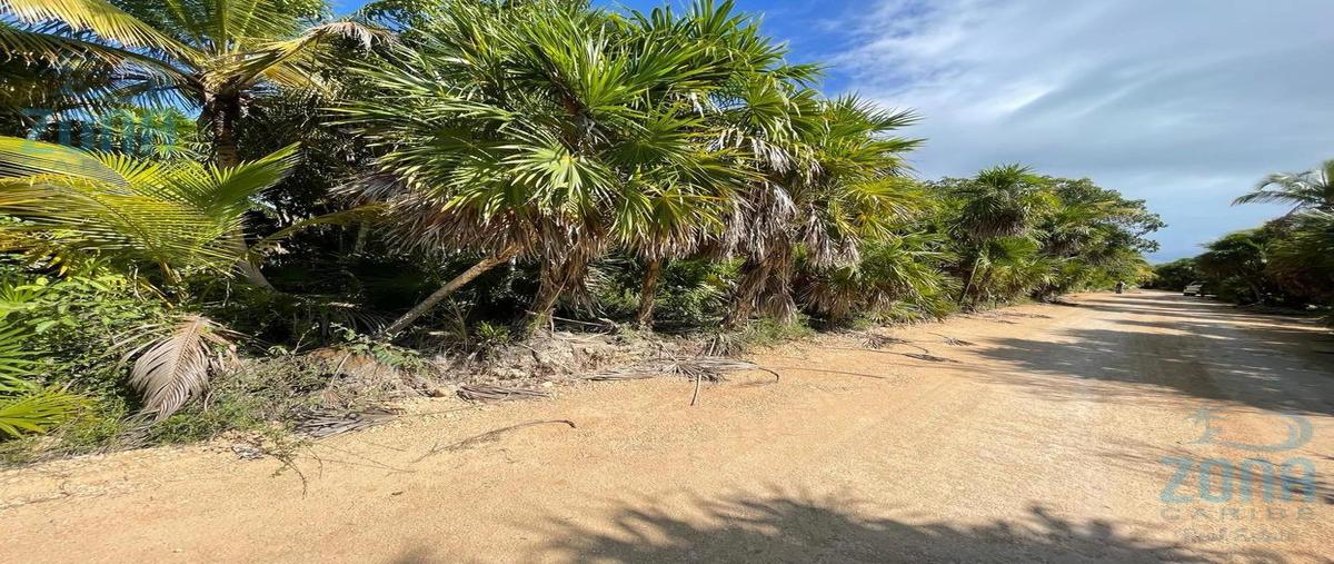 Foto de terreno habitacional en venta en  , boca paila, tulum, quintana roo, 0 No. 05