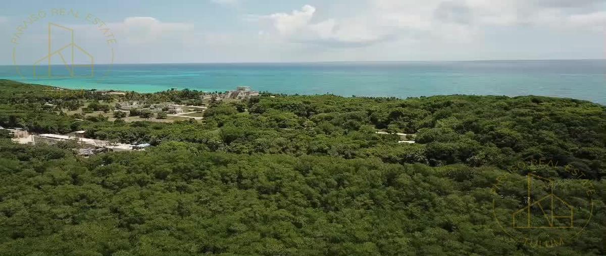 Foto de terreno habitacional en venta en  , boca paila, tulum, quintana roo, 30134900 No. 03