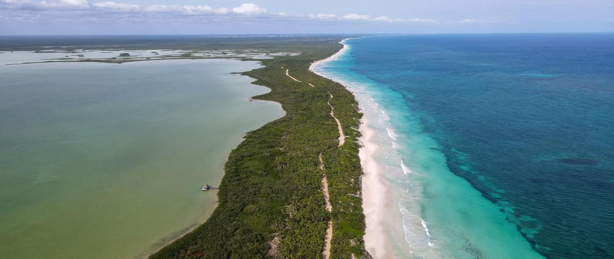 Foto de terreno habitacional en venta en  , boca paila, tulum, quintana roo, 0 No. 05