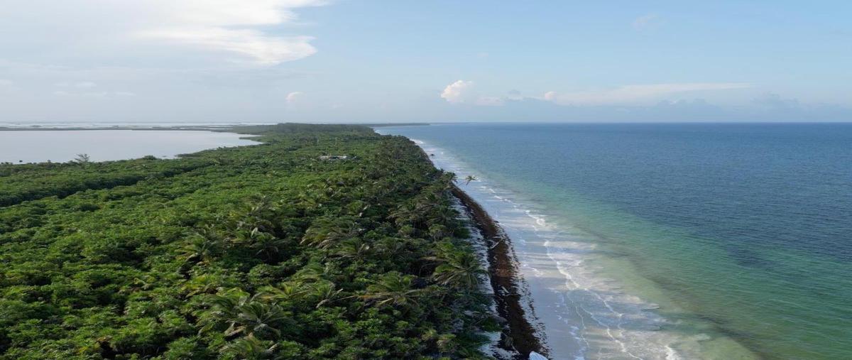 Foto de terreno habitacional en , boca paila, tulum, quintana roo, 30889666 foto 02 Foto de terreno habitacional en venta en , boca paila, tulum, quintana roo, 30889666 No. 02