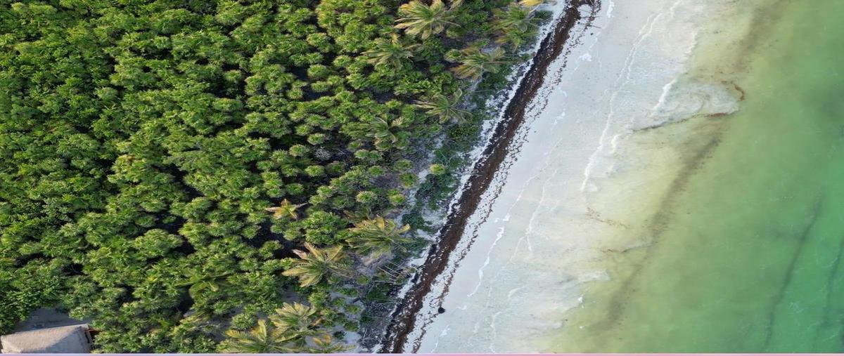 Foto de terreno habitacional en , boca paila, tulum, quintana roo, 30889666 foto 03 Foto de terreno habitacional en venta en , boca paila, tulum, quintana roo, 30889666 No. 03