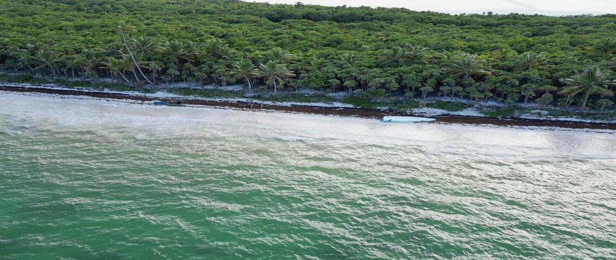 Foto de terreno habitacional en , boca paila, tulum, quintana roo, 30889666 foto 05 Foto de terreno habitacional en venta en , boca paila, tulum, quintana roo, 30889666 No. 05