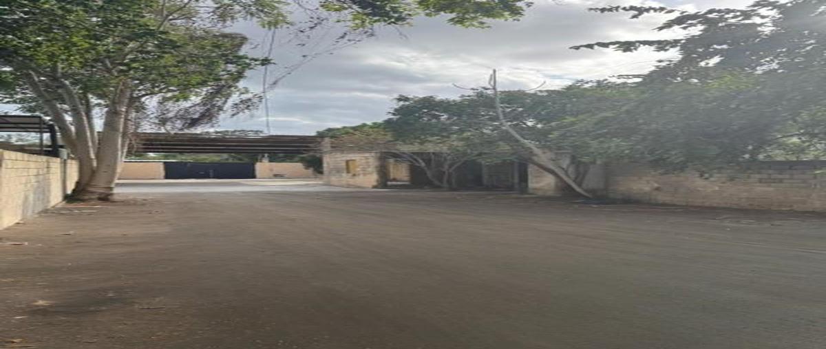 Foto de terreno habitacional en venta en  , bojorquez, mérida, yucatán, 28730402 No. 03