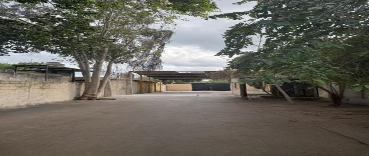 Foto de terreno habitacional en venta en  , bojorquez, mérida, yucatán, 28730402 No. 05