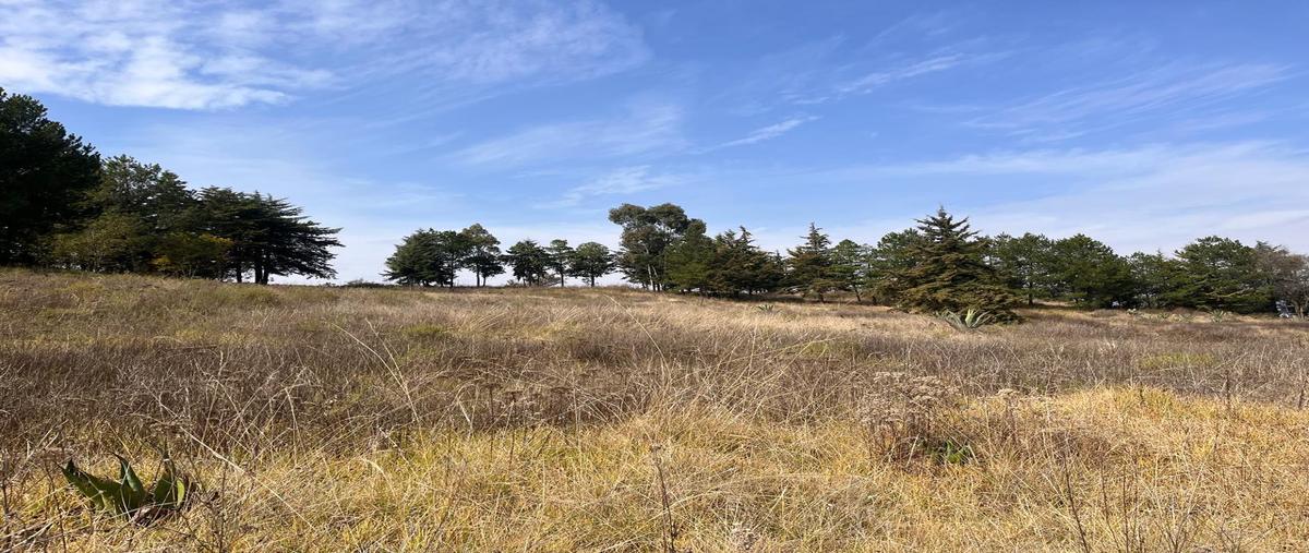 Foto de terreno habitacional en venta en  , bombatevi ejido (ej. santa cruz bombatevi), atlacomulco, méxico, 30652271 No. 03